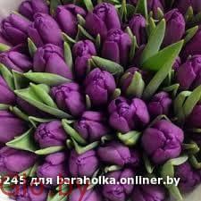 Тюльпаны белорусские оптом по низкой цене.