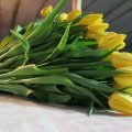 Великолепные Букеты тюльпанов к 8 марта оптом недорого