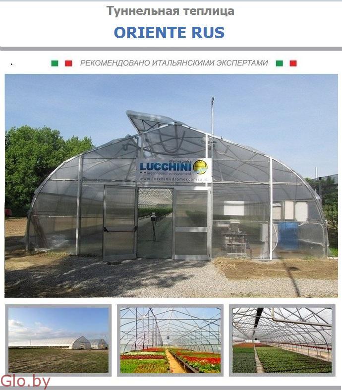 Промышленная/фермерская теплица Oriente RUS