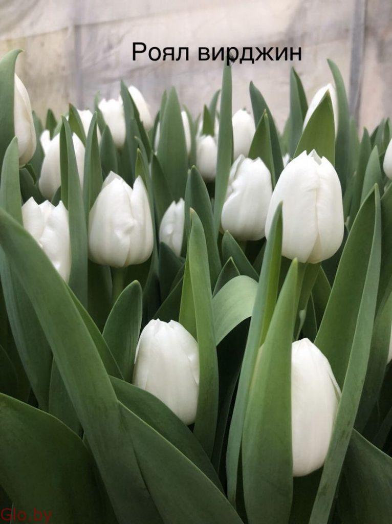 Свежие цветы оптом к 8 марта в Минске