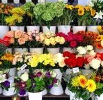 Продается прибыльный магазин цветов.